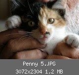 Penny 5.JPG