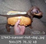 17443-suesser-hot-dog.jpg